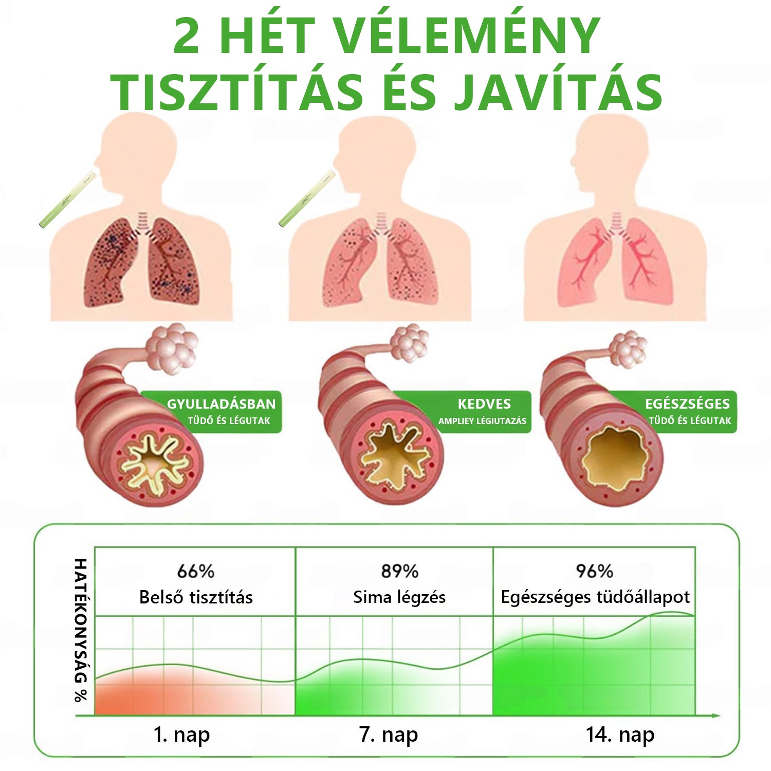 🇭🇺 High-Quality Hungarian Product with Domestic Shipping 🥇 Murwon® Herbal Lung-Cleansing Diffuser 🧄(👨‍⚕️ Effective Help for Cough, Sore Throat, Shortness of Breath, Mucus, Nasal Congestion, Bronchitis, Allergy Symptoms and Lung Problems) ❤️